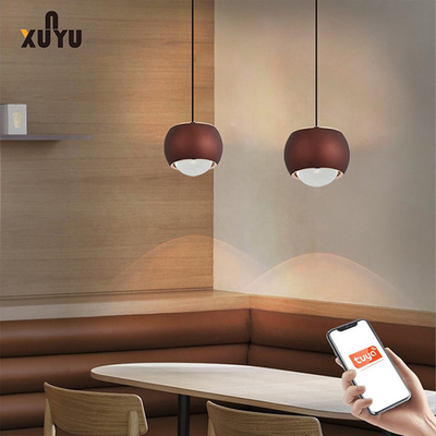 XUNYU LED पेंडेंट लाइट 8W 6000K स्फीयर पेंडेंट लाइट फिक्स्चर